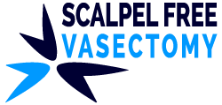 Scalpel Free Vasectomy